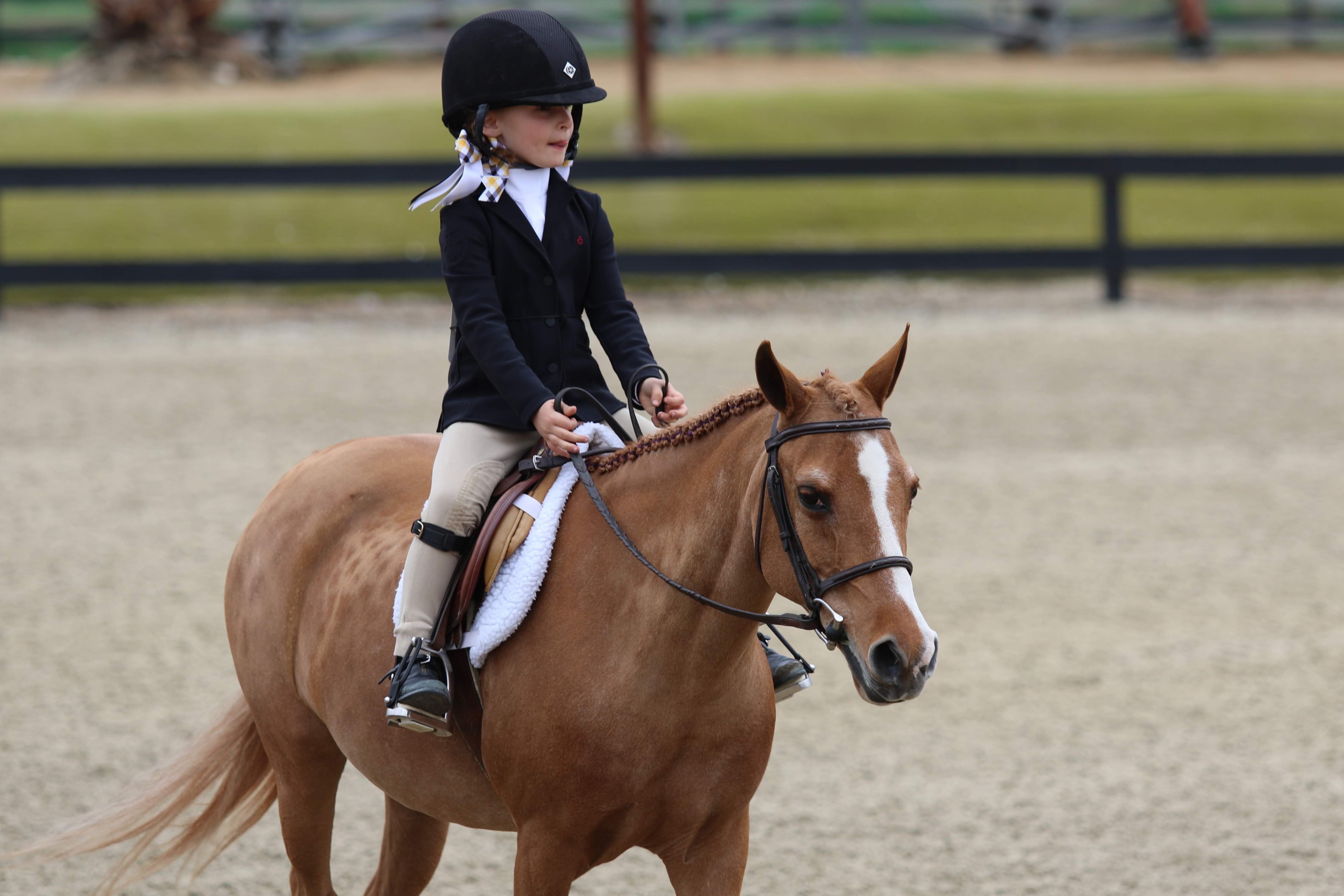 Discount Equestrian Clothing Youth