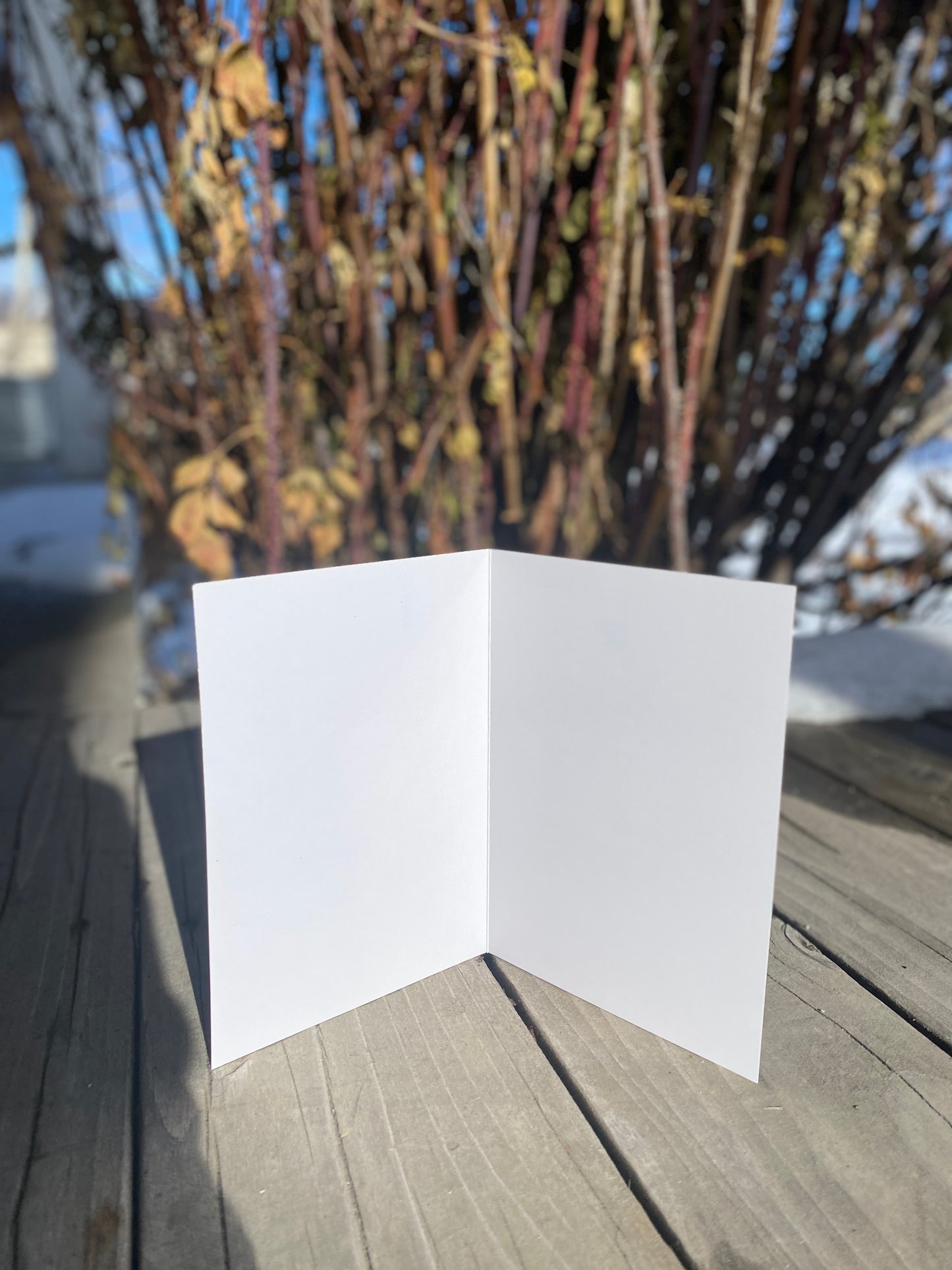 3-Pack of Greeting Cards