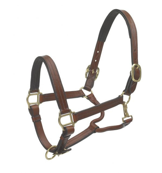 Ovation Triple Stitched Padded Leather Halter